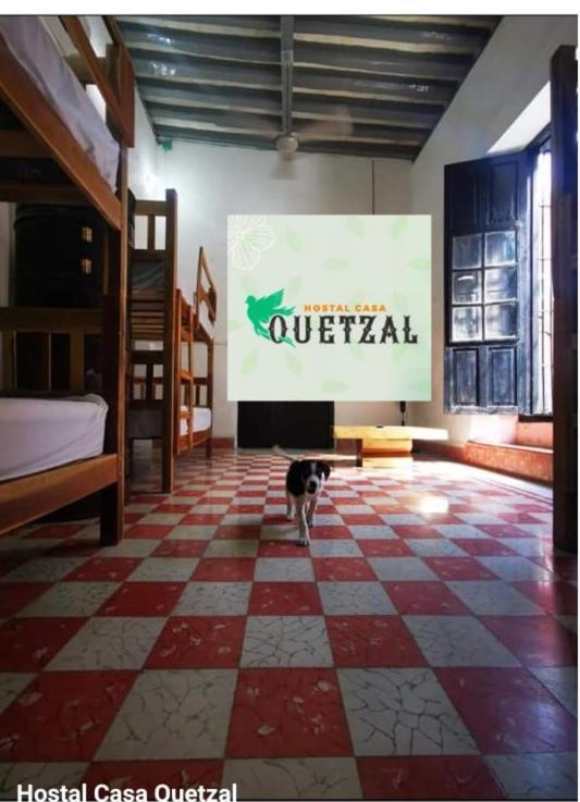 Hostel Casa Quetzal カンペチェ エクステリア 写真